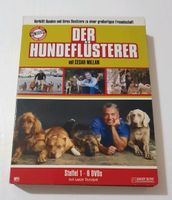Der Hundeflüsterer Staffel 1 auf 6 DVDs mit Cesar Millan Kiel - Ellerbek-Wellingdorf Vorschau