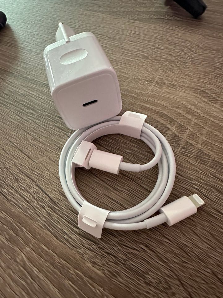 iPhone X 64GB mit neuem Ladekabel und Handyhalterung für das Auto in Oldendorf (Landkreis Stade)