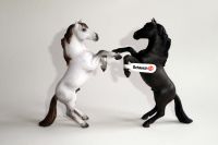 Schleich - Pferde mit Fähnchen, 1. Auflage & 1. Hand Baden-Württemberg - Konstanz Vorschau