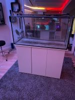 Aquarium ca. 200 Liter mit Filter und CO2 Anlage Schleswig-Holstein - Plön  Vorschau