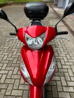 Zu verkaufen Honda 110 Vision Baden-Württemberg - Wiesloch Vorschau