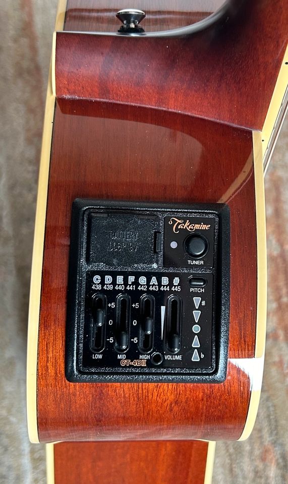 Takamine ETA 250 SVN in Emden