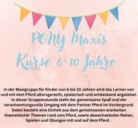 Ponykurse für Kinder von 6-9 Jahren Nordrhein-Westfalen - Erftstadt Vorschau