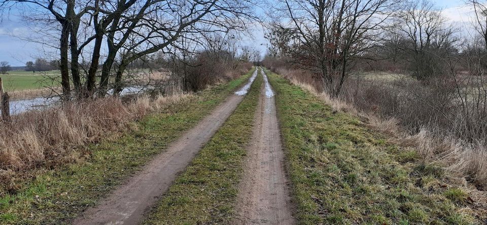 Auszeit im Oderbruch - Wohnen und Arbeiten in der Natur in Zechin