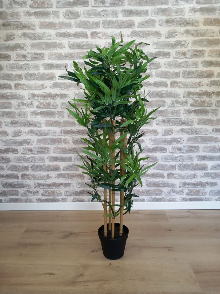 Amazon Basics Künstliche Bambus 100 cm in Bremen