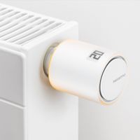 Netatmo Heizkörperthermostate + Relais Bayern - Güntersleben Vorschau