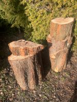 Mammut Baum Stämme als Deko oder Weiterverarbeitung zu verkaufen Bayern - Moosburg a.d. Isar Vorschau