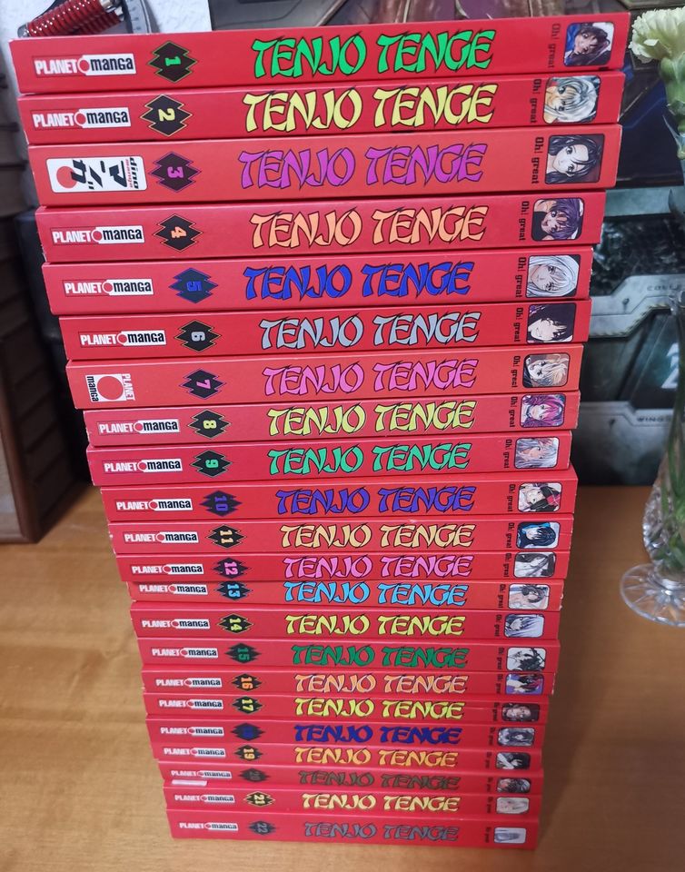 Tenjo Tenge-Band 1-22 - Oh!Great- Manga-Neuwertig in Wildeck