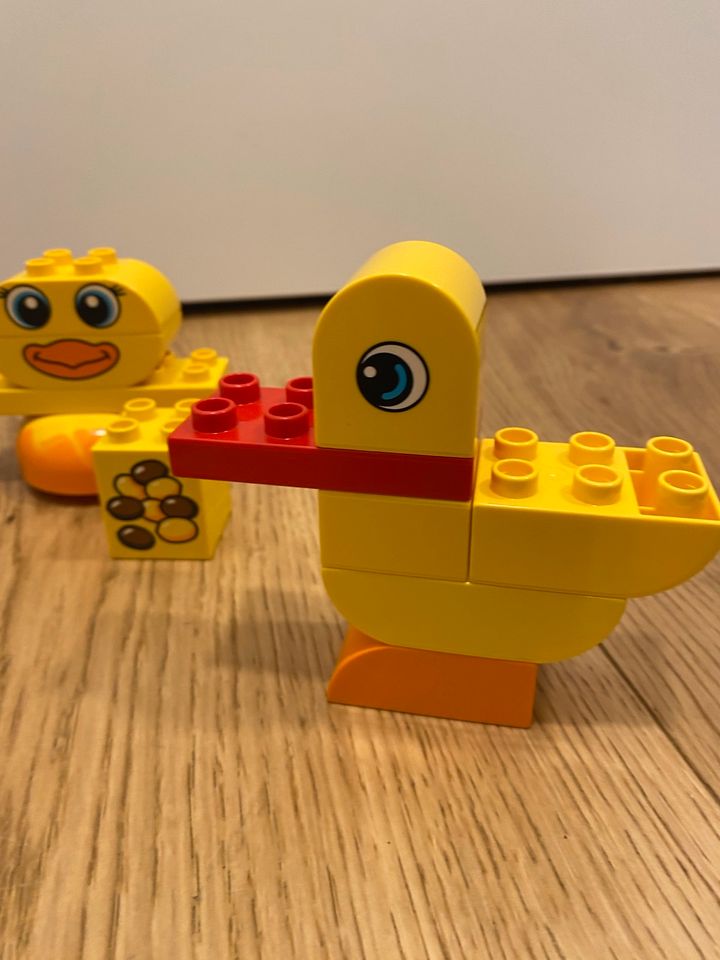 Lego Duplo - meine ersten Tiere (plus Ente) in Buxheim Memmingen