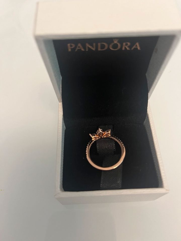 Pandora Ring in Bremen