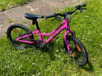 Naloo chameleon 16 Zoll Fahrrad pink Dortmund - Husen Vorschau