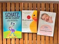 Bücher zu Schwangerschaft und Elternsein Sachsen - Zwickau Vorschau