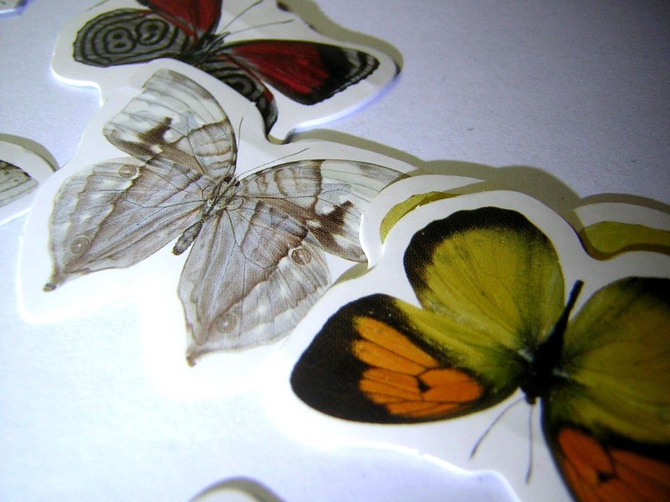 Scrapbook Washi Kawaii Aufkleber Box Schmetterlinge 44 x 44 mm in Fischbach