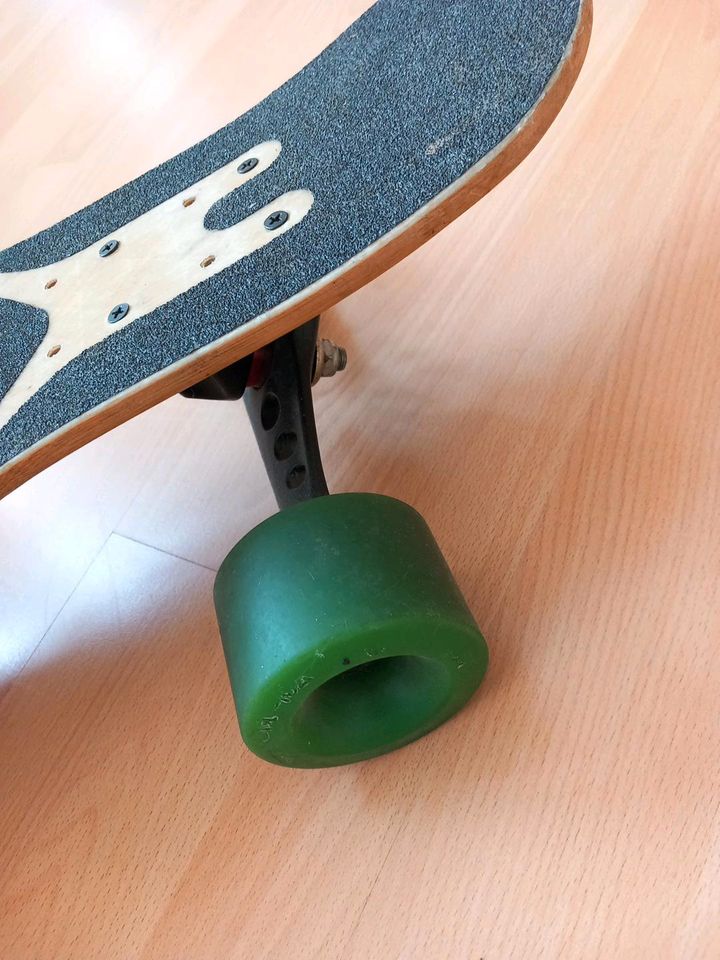 Longboard Loaded Fattail Flex in Hannover