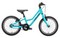 NEU! Kinderfahrrad Naloo Chameleon 16" Mk 2 Baden-Württemberg - Freudenstadt Vorschau