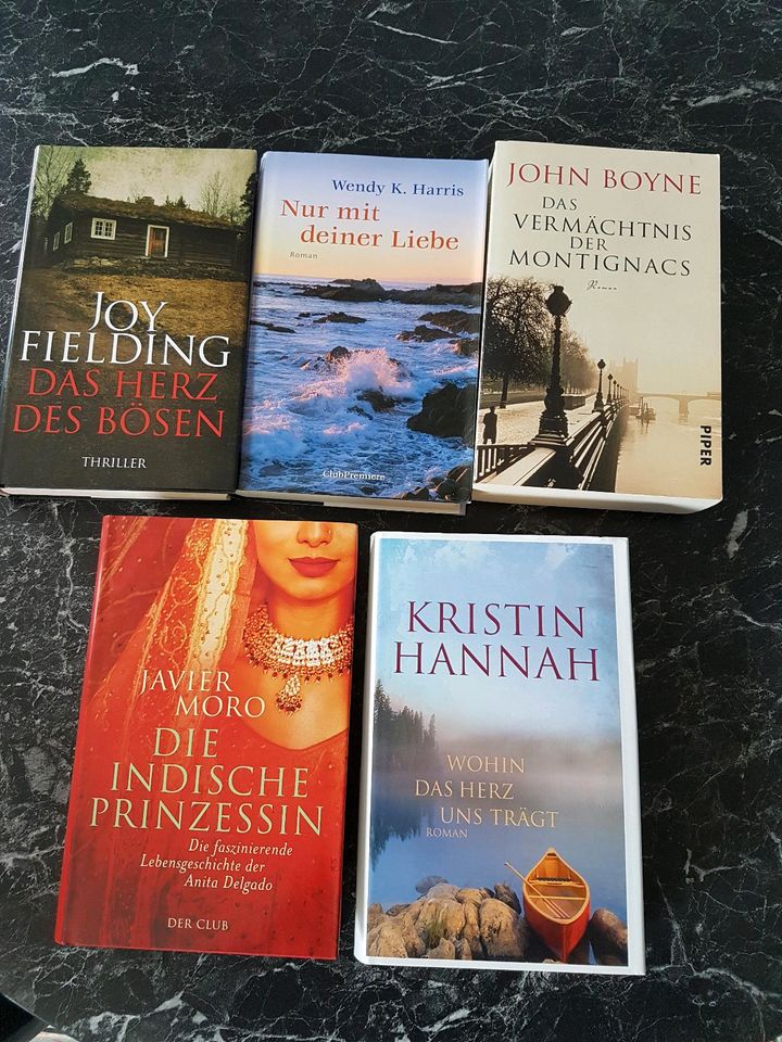 Bücher 4 Romane und 1 Thriller in Rosdorf