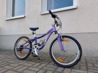 Super seltenes lila Kinder 20 Zoll Moutainbike Fahrrad Sachsen - Thum Vorschau
