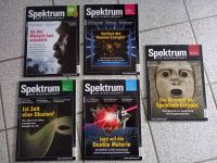 Spektrum der Wissenschaft, 5 Hefte, Jahrgang 2010, wie neu Niedersachsen - Wietzen Vorschau