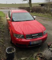 Audi S4 V8 Schleswig-Holstein - Nübel b Schleswig Vorschau