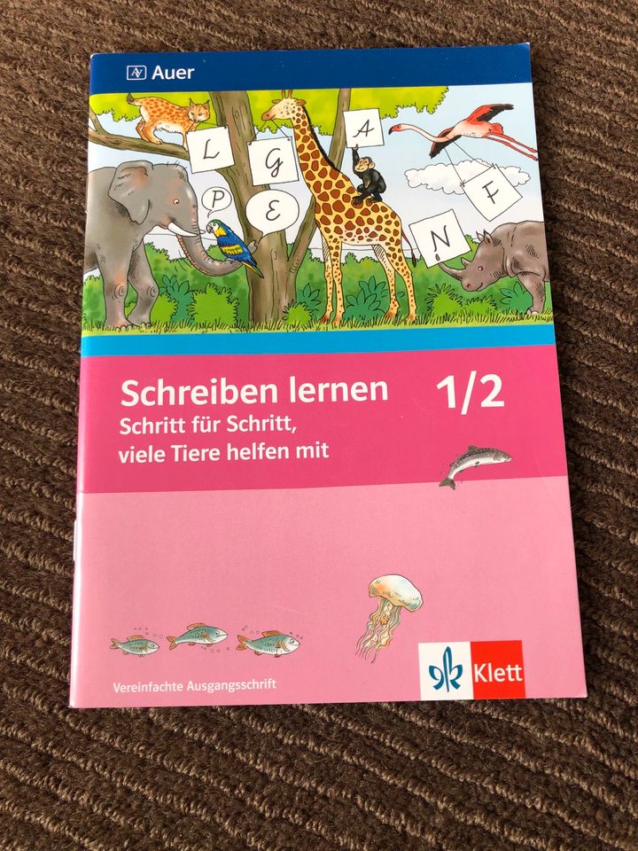 Klett Pattloch Kindergarten Buch schreiben lernen Rätsel in Duisburg