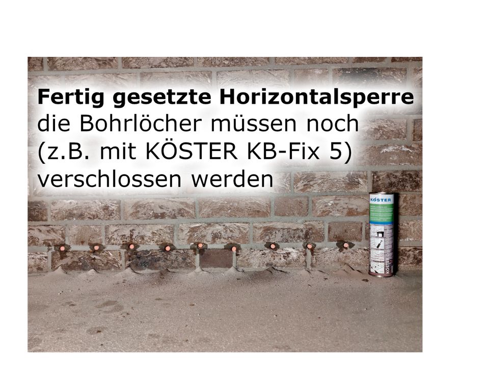 Horizontalsperre - 10 KÖSTER Crisin Stäbchen für Selbsteinbau in Kiel