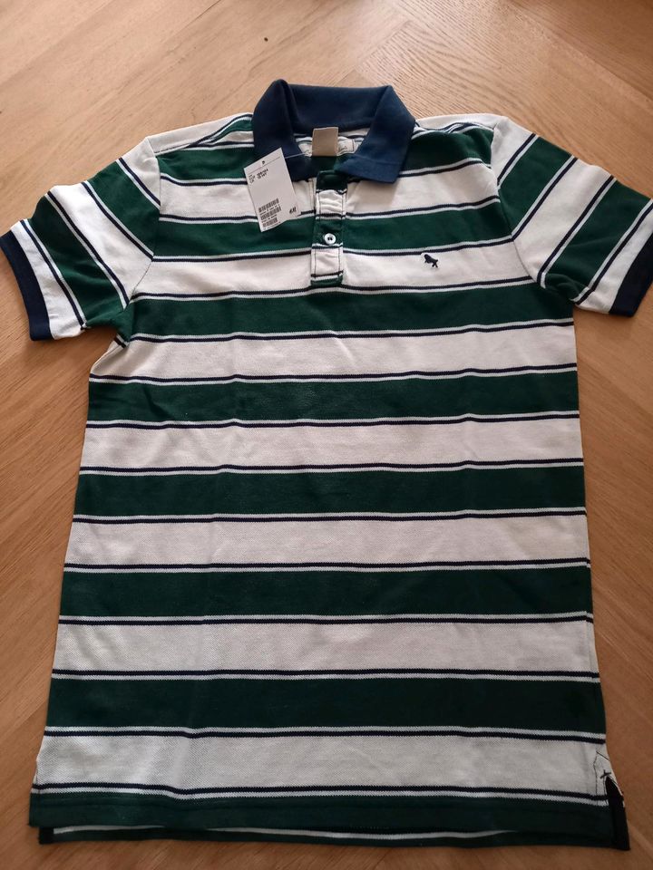 Poloshirt H&M Neu Gr. 164 170 Neu in Wettringen