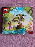 Lego Disney Prinzessinen Set Princess 30671 NEU OVP Kr. München - Unterschleißheim Vorschau