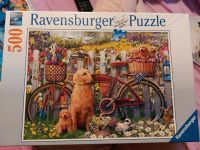 Ravensburger Puzzle 500 Teile Hund Bayern - Aschaffenburg Vorschau