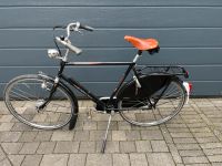 Gazelle Populair Herren Rad Fahrrad 61 Brooks Sattel Nordrhein-Westfalen - Greven Vorschau