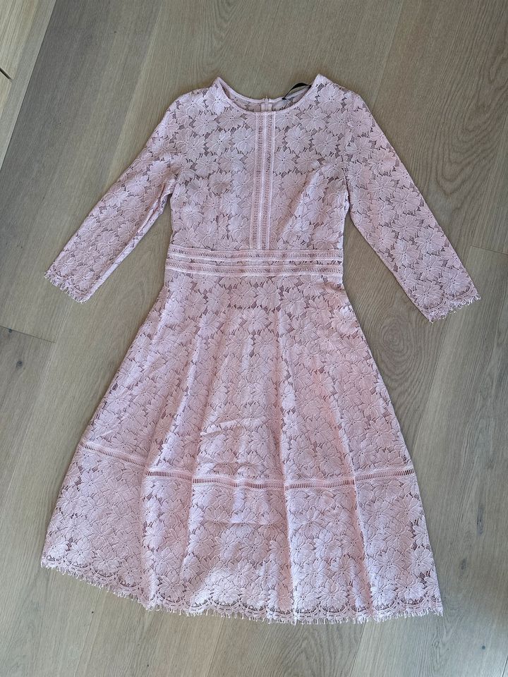 Hallhuber Kleid rosé Gr 36 absolut Neuwertig in München