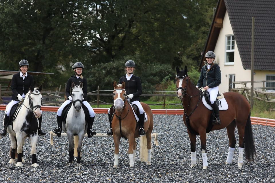 Erlebnis-Wochenenden in unserer exclusiven Reitschule! in Asbach