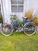 Oldtimer Fahrrad Gartendeko NSU-Fahrrad Scheunenfund Garagenfund Rheinland-Pfalz - Rheinzabern Vorschau