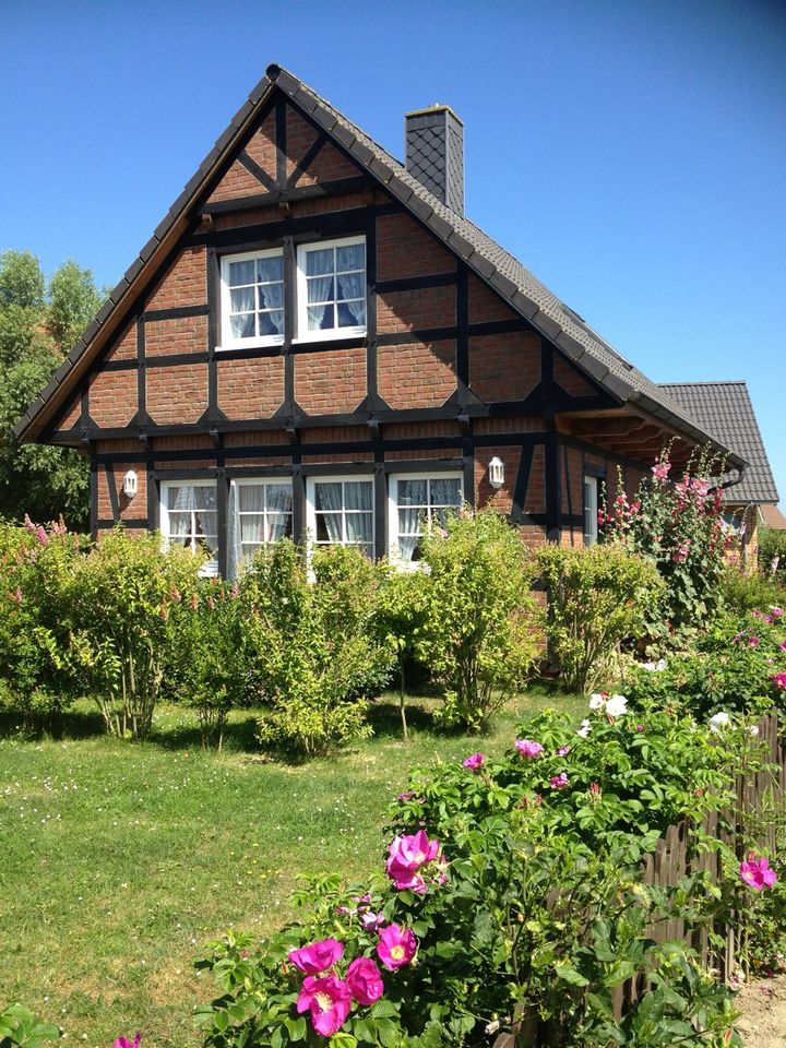 Urlaub mit Hund Nordsee Ferienwohnung Haus privat Friedrichskoog in Friedrichskoog