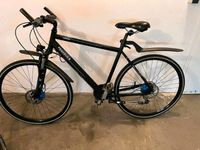 Pegasus Fahrrad 28 Zoll Baden-Württemberg - Ulm Vorschau