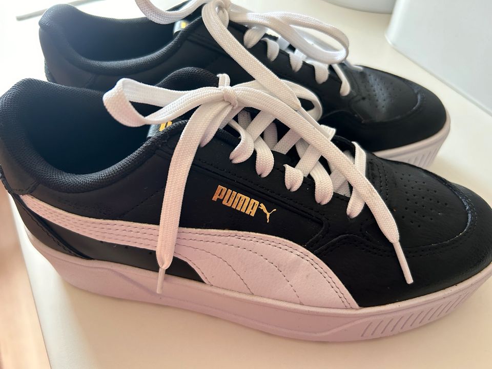 Puma Sneaker in Herne