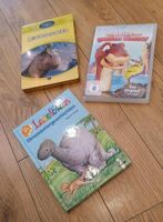 Dinosaurier DVDs und Dinosauriergeschichten Niedersachsen - Heeßen Vorschau