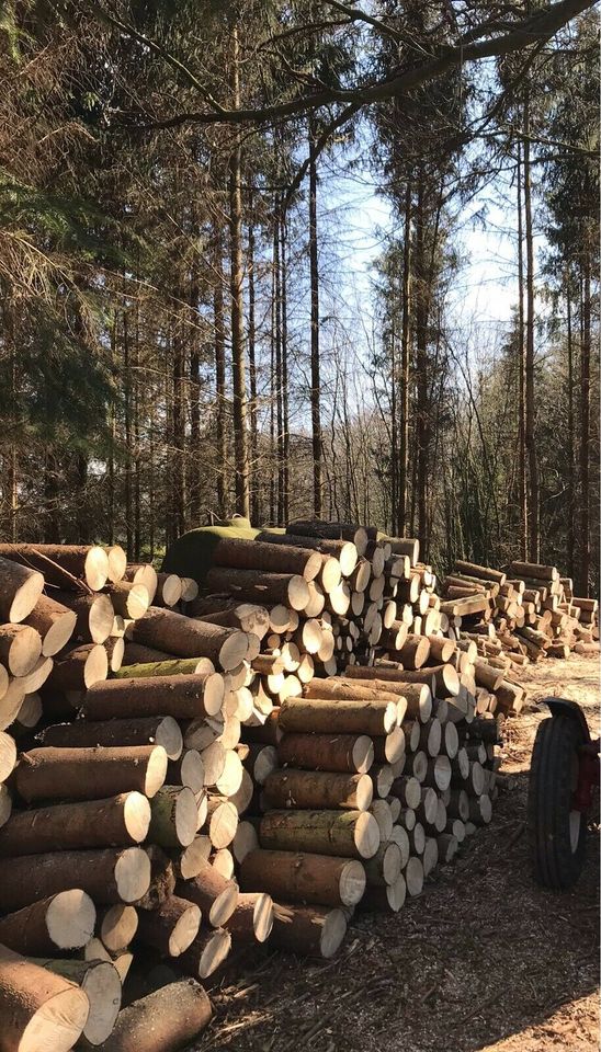 Schwedenfeuer/ Gartenfeuer aus Fichtenholz in Wüstheuterode