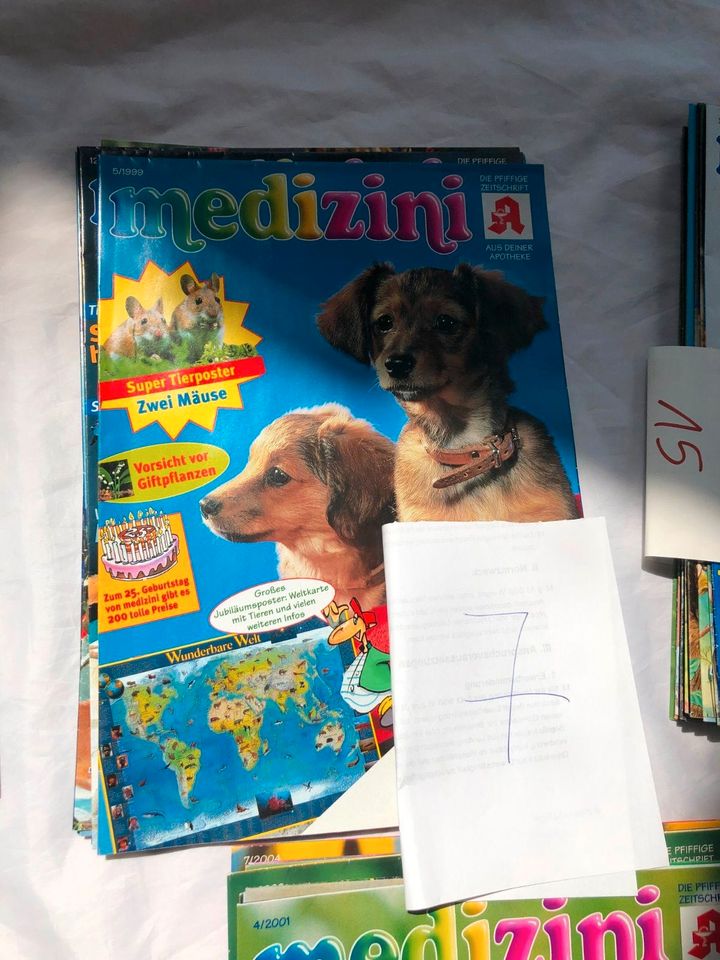 Plüschhund gestreift +große Sammlung Tierposter+ Comicposter in Viechtach