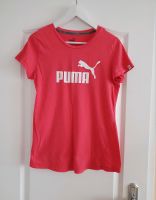 Puma T-Shirt Größe M Hamburg - Bergedorf Vorschau