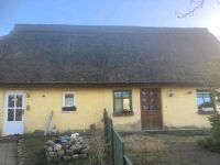 Zwei kleine Doppelhaushälften unter Reet auf Rügen Mecklenburg-Vorpommern - Patzig Vorschau