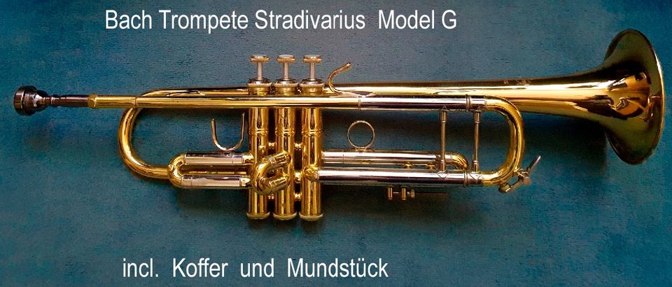 Bach Trompete Stradivarius Model 72 G in Kamen