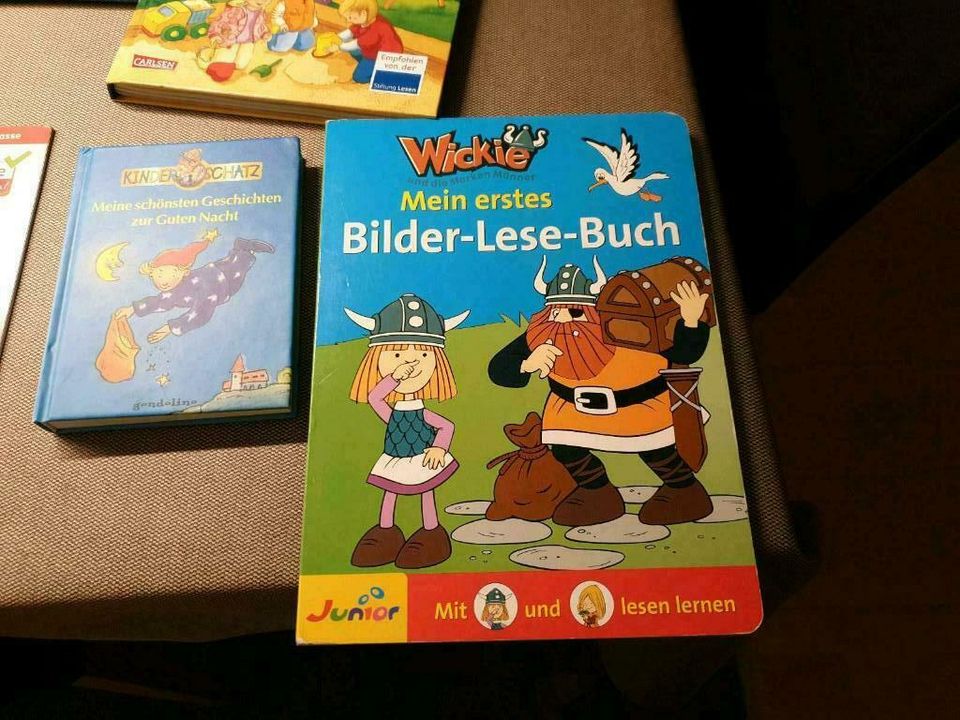 Kinderbuch Buch Kinder Vorlesen erstes Lesen Geschichten in Ehingen (Donau)