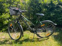 Damen-Fahrrad BULLS 28 zoll - Crossbike Street Freiburg im Breisgau - Umkirch Vorschau