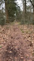 Eine vierköpfige Familie sucht Haus/ Doppelhaushälfte in Sandkrug Niedersachsen - Hatten Vorschau