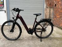 Trenoli TANARO CLASSICO ACTIVE PLUS GR.L RH 50 E-Bike Sachsen-Anhalt - Quedlinburg Vorschau