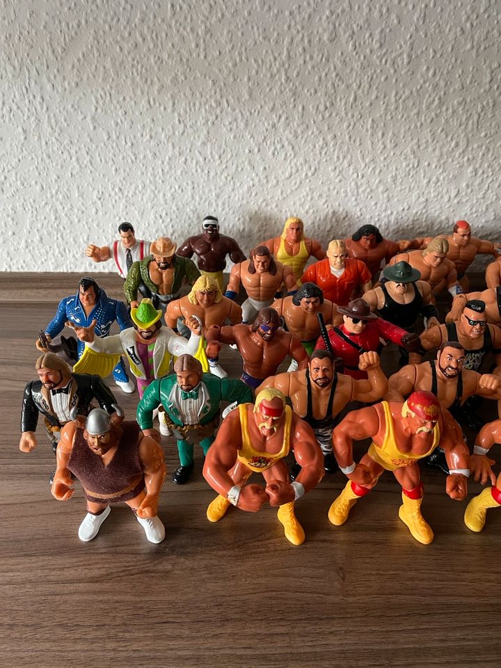 WWF Hasbro Wrestling Figuren Actionfiguren vintage in Essen