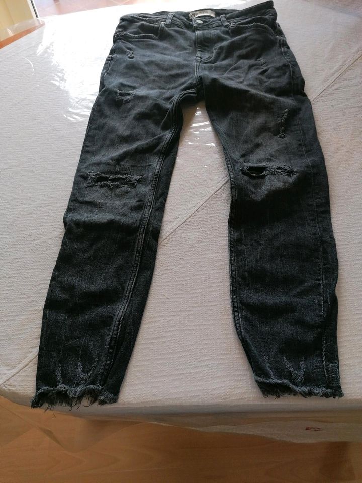 Zara Herrenjeans Gr30/ 32 destroyed look in Blomberg