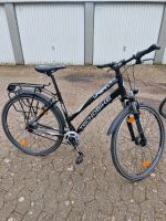 Urban Tecnobike Fahrrad 28 Zoll Ricklingen - Wettbergen Vorschau