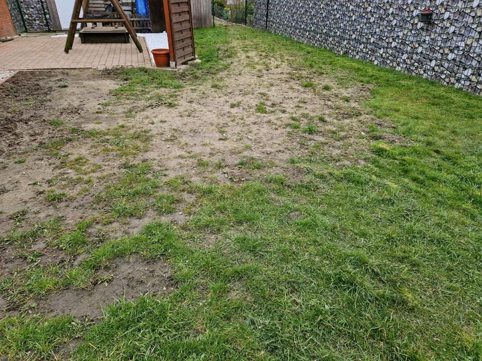 Biete Bodenfräsen und Bodenumkehrfräsen in Neuenkirchen