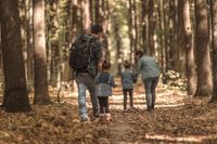 Junge Familie aus Königstein sucht Haushaltshilfe Hessen - Königstein im Taunus Vorschau